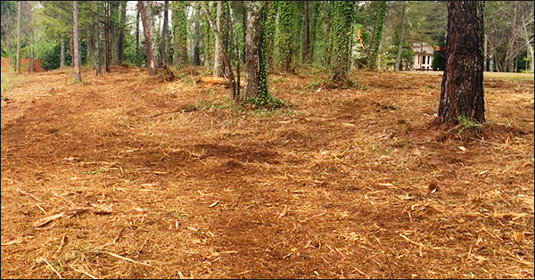 Mulch 600x314